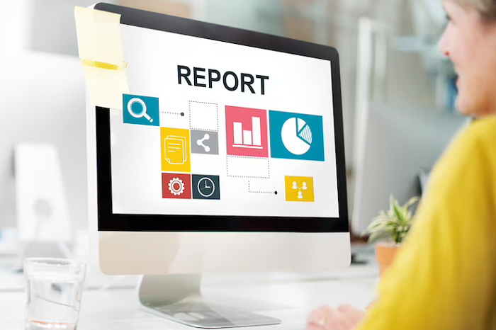 Pre Vat Audit Review Services