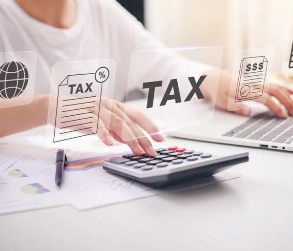Excise Tax Consulting Services in Dubai, UAE | PMC